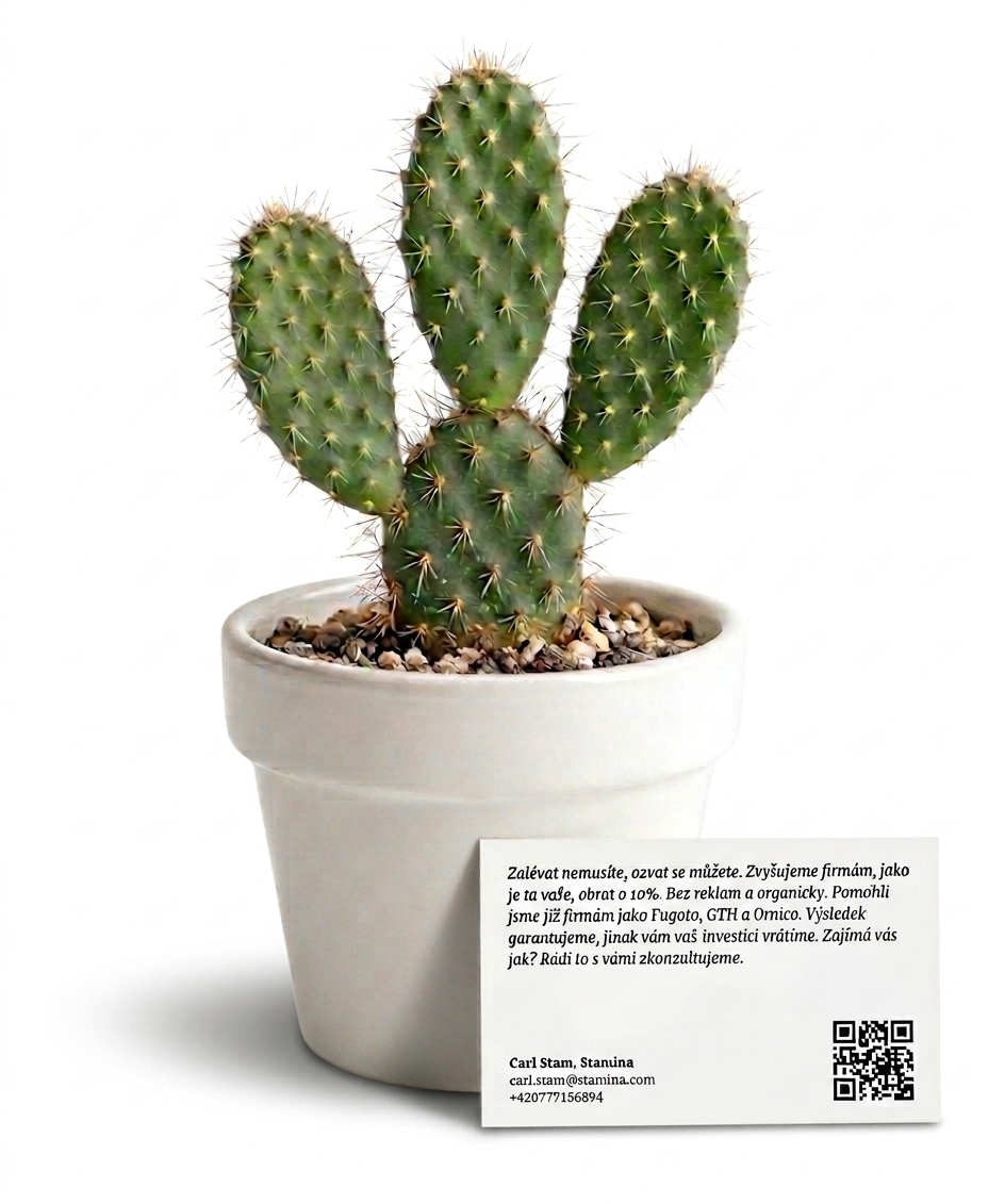 Kaktus v bílém květináči s kartičkou a QR kódem