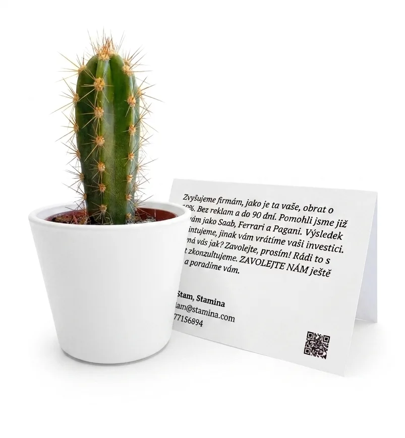 Kaktus v bílém květináči s kartičkou a QR kódem